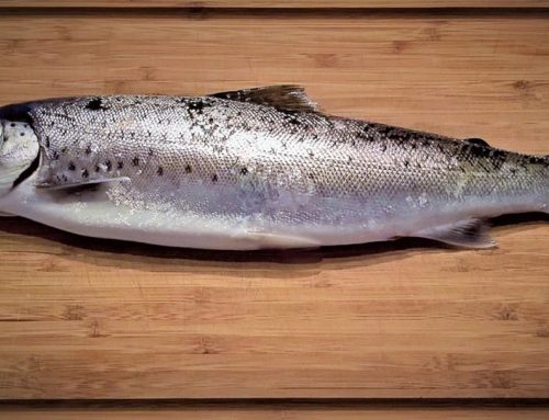 Πέστροφα το μυστικό της μακροζωίας